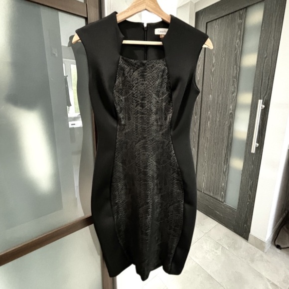 Calvin Klein Scuba Sheath Dress - Black w/Python Print Front Panel Size 2 - Picture 5 of 11